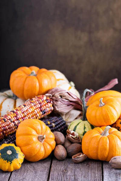 Verscheidenheid aan kleurrijke decoratieve pompoenen op een tafel — Stockfoto