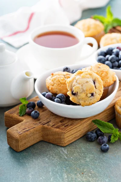 Blueberry muffins in a bowl — Stock Photo, Image