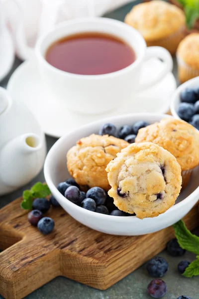 Blaubeer-Muffins in einer Schüssel — Stockfoto