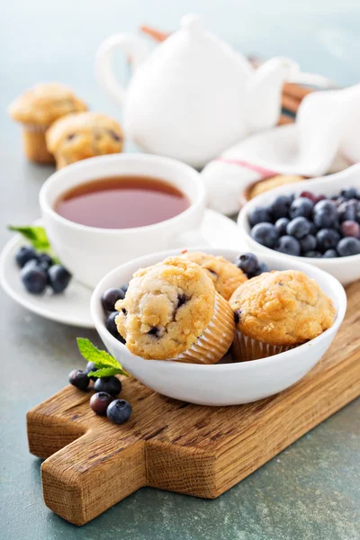 Muffins de mirtilo em uma tigela — Fotografia de Stock