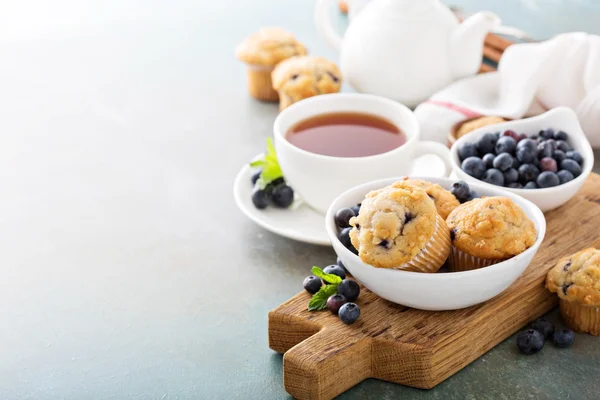 Blueberry muffins in a bowl — Stock Photo, Image