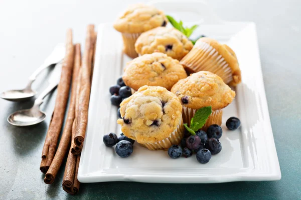 Blaubeer-Muffins auf einem Teller — Stockfoto