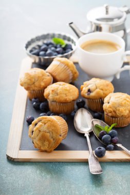 Blueberry muffins bir tepsi