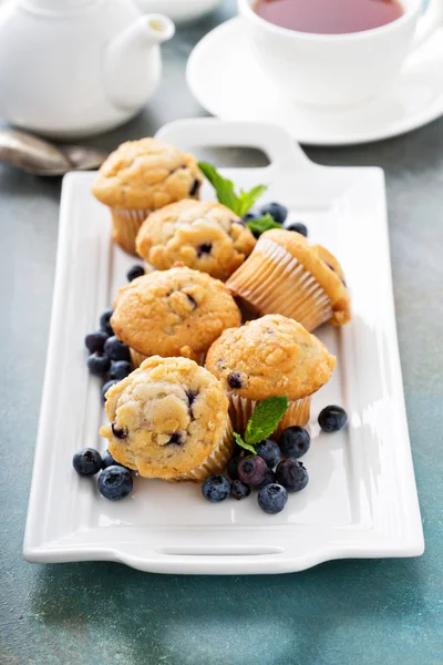 Blaubeer-Muffins auf einem Teller — Stockfoto