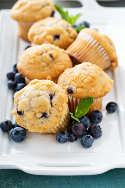 Blueberry muffins op een plaat — Stockfoto