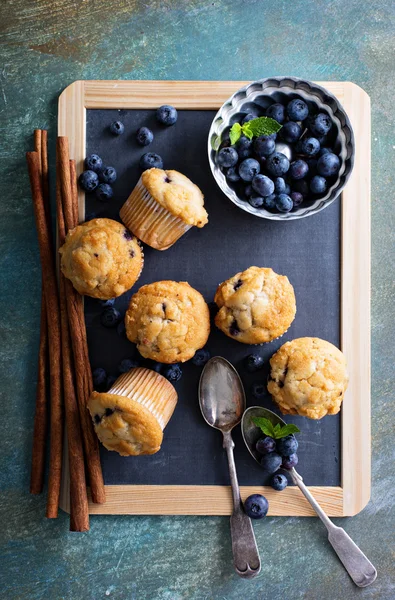 Blaubeermuffins auf einem Tablett — Stockfoto