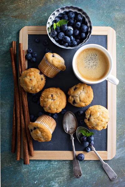 Blueberry muffins on a tray — Stock Photo, Image