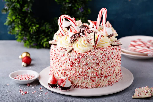 Peppermint and chocolate cake — Photo