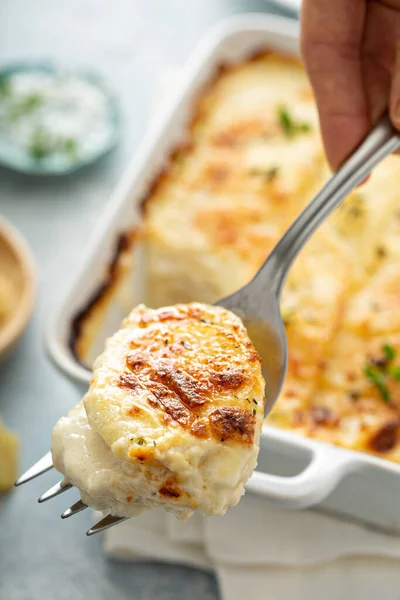 Сырный картофель с гребешками — стоковое фото