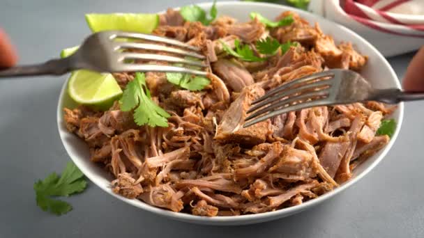 Pork carnitas with celery and lime — Stock Video