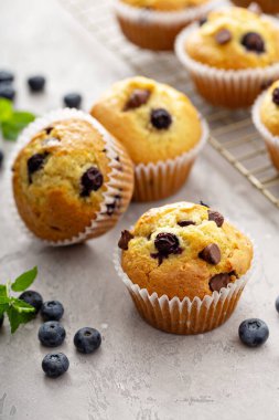 Çikolata parçalı ve yaban mersinli kek. Taze pişmiş.