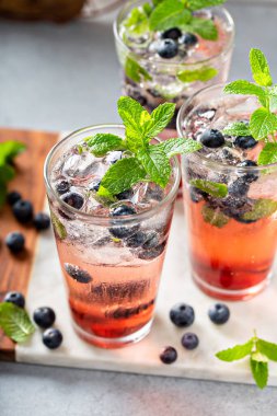 Naneli uzun bardakta yabanmersinli mojito.