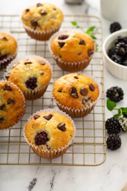 Blackberry ve çikolatalı kekler, yaz tarifi.