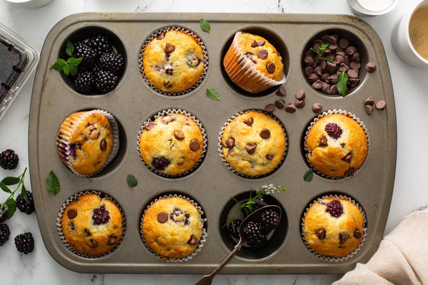 Blackberry and chocolate chip muffins, summer recipe — Stock Photo, Image