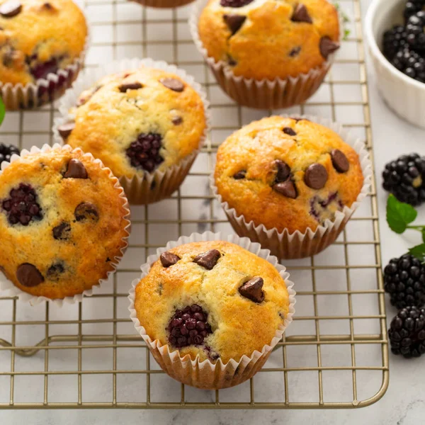 Muffin con gocce di more e cioccolato, ricetta estiva — Foto Stock