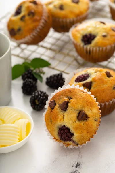 Blackberry and chocolate chip muffins, summer recipe — Stock Photo, Image