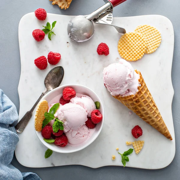 Malinová zmrzlina v misce a kornout s čerstvými bobulemi — Stock fotografie