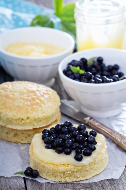 maken van een taart, spons lagen, berijpen en bessen