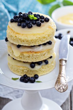 limon blueberry layer cake