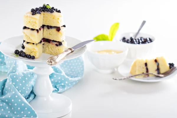 柠檬蓝莓层蛋糕 — 图库照片