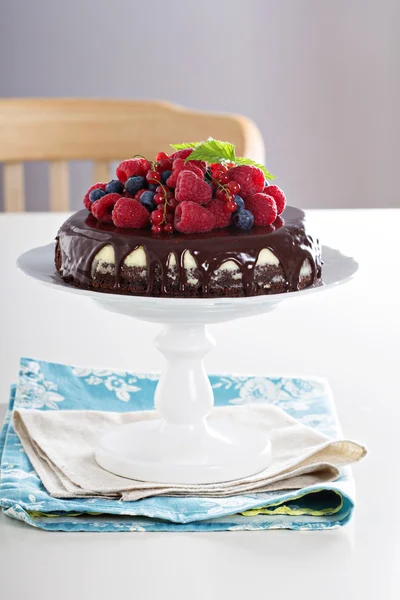 Cheesecake with berries on a brownie layer — Stock Photo, Image