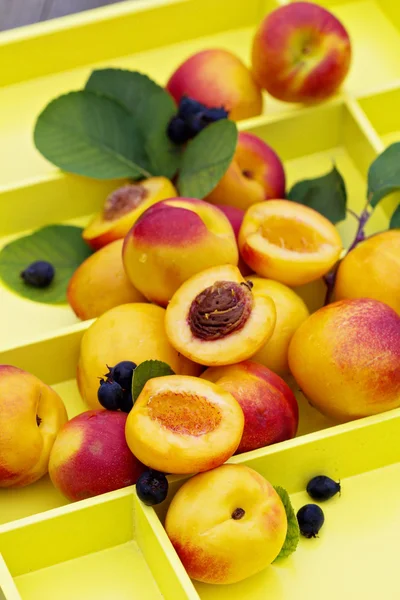 Verse nectarines op een dienblad — Stockfoto