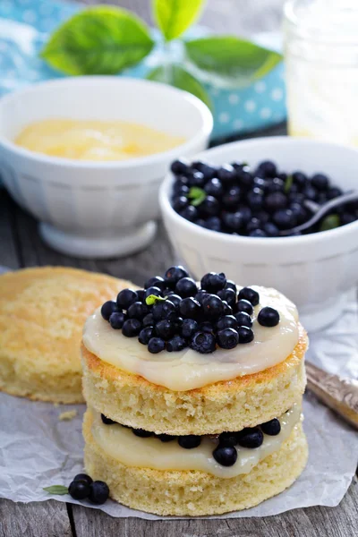 Making a cake, sponge layers, frosting and berries — Stock Photo, Image