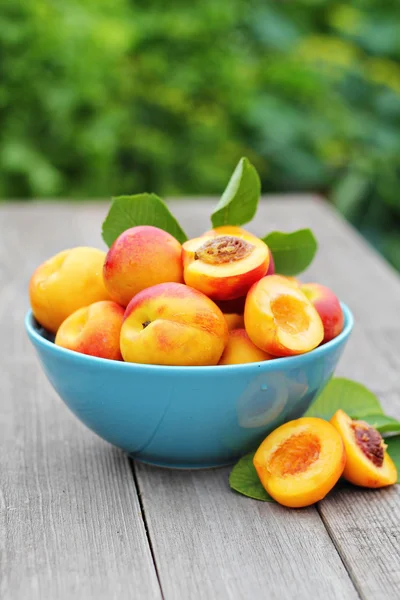 Verse nectarines in een kom — Stockfoto