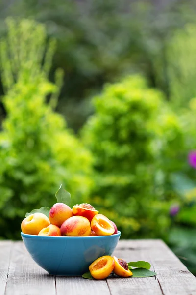 Verse nectarines in een kom — Stockfoto