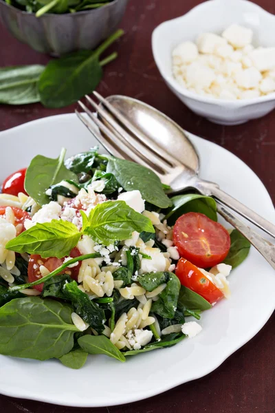 Pasta salad with orzo, spinach and feta — Stock Photo, Image