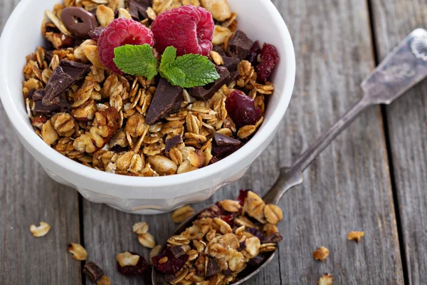 Granola au chocolat pour le petit déjeuner — Photo