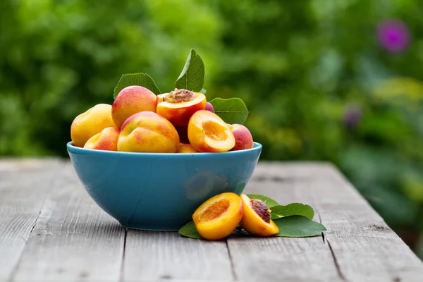 Fresh peaches in blue bowl — Stock Photo, Image