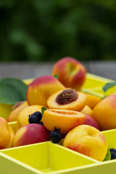 Färska persikor med bär — Stockfoto
