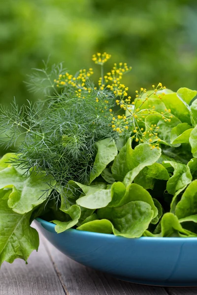 A kertben friss salátával — Stock Fotó