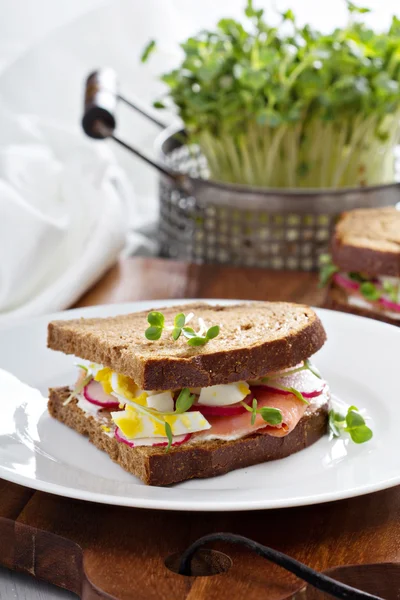 Broodje met gerookte zalm, radijs en ei — Stockfoto