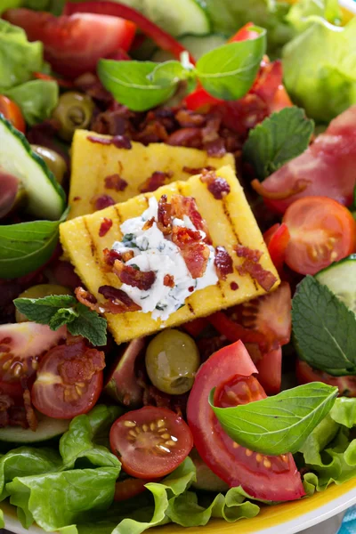 Salata taze sebze ile polenta ızgara — Stok fotoğraf