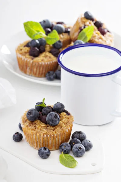 Baked oatmeal muffins with blueberry — Stock Photo, Image