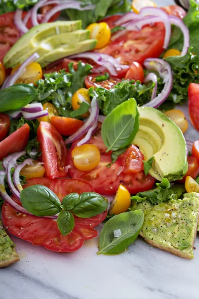 Verse kleurrijke salade met tomaten — Stockfoto