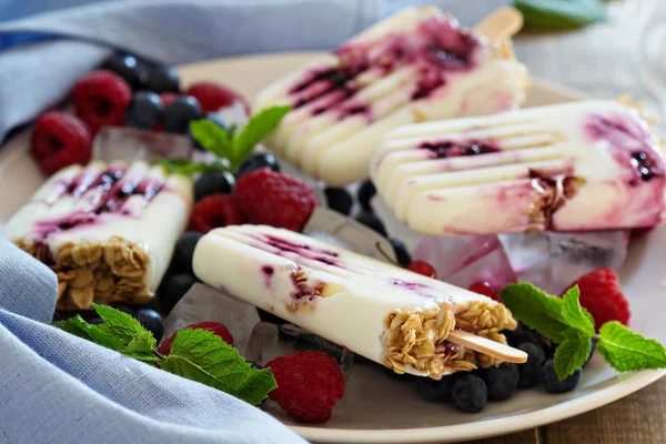 Paletas de yogur congeladas con avena y mermelada —  Fotos de Stock