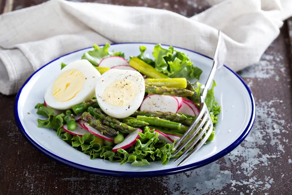 Fräsch sallad med sallad, sparris och ägg — Stockfoto