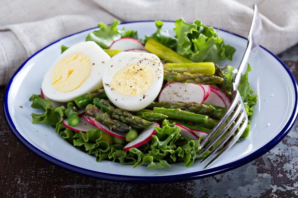 Fräsch sallad med sallad, sparris och ägg — Stockfoto