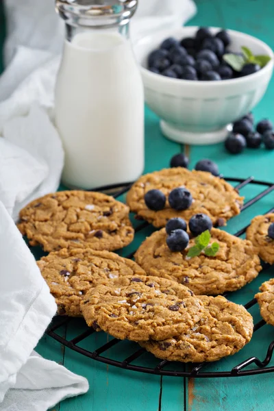 Gluten vrije chocolade chip cookies — Stockfoto