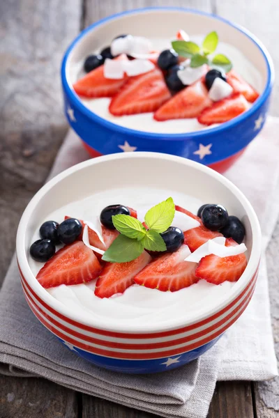 Ciotola di yogurt con mirtilli e fragole — Foto Stock