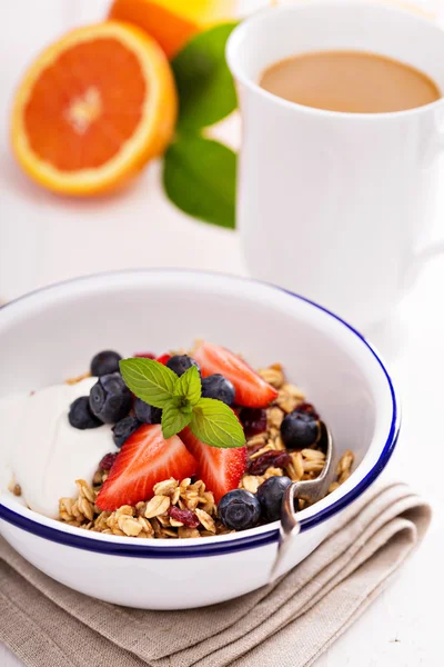 Frukost skål med hemgjord granola — Stockfoto