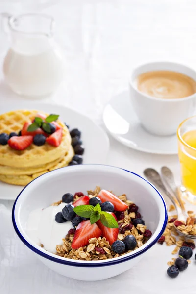 Frukost skål med hemgjord granola — Stockfoto