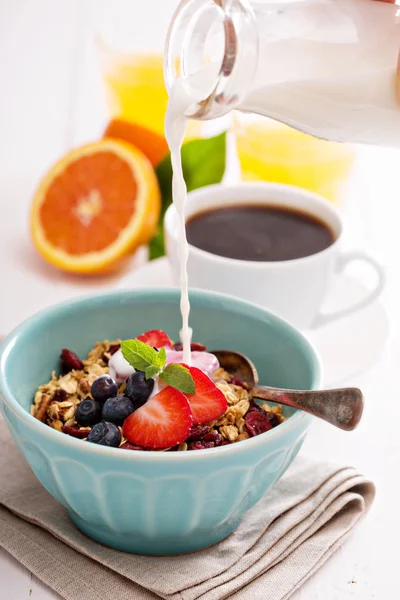 Frukost skål med hemgjord granola — Stockfoto