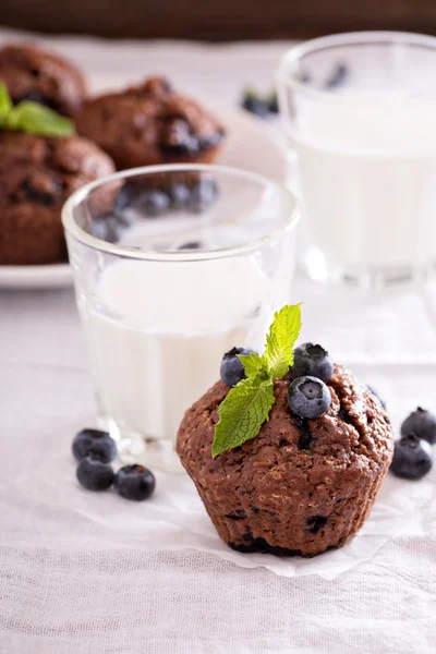Muffins de chocolate com mirtilos — Fotografia de Stock