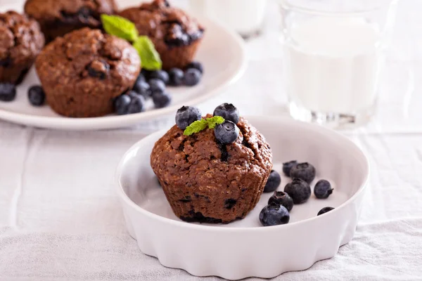 Chocolate muffins with blueberries — Stock Photo, Image