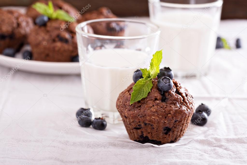 Chocolate muffins with blueberries