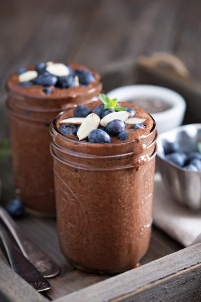 Friska vegansk choklad chia pudding — Stockfoto